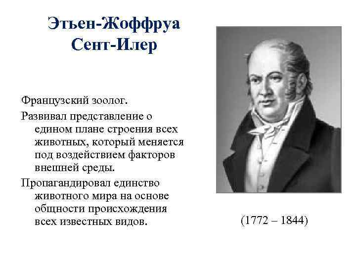Этьен-Жоффруа Сент-Илер Французский зоолог. Развивал представление о едином плане строения всех животных, который меняется