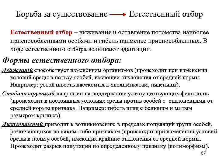 Утверждал что выживают наиболее приспособленные организмы