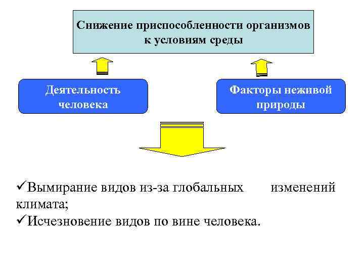 Снижение приспособленности организмов к условиям среды Деятельность человека Факторы неживой природы üВымирание видов из-за