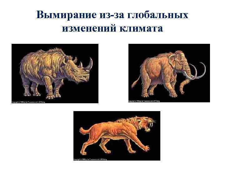 Вымирание из-за глобальных изменений климата 