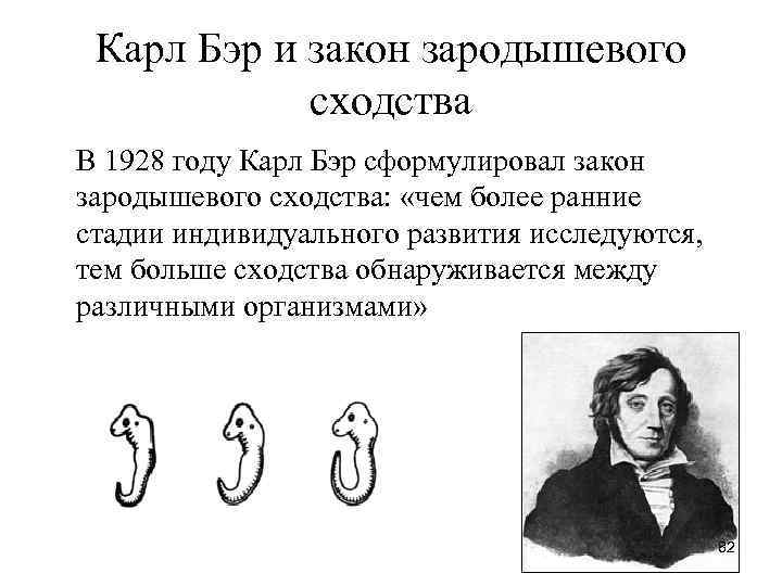 Карл Бэр и закон зародышевого сходства В 1928 году Карл Бэр сформулировал закон зародышевого