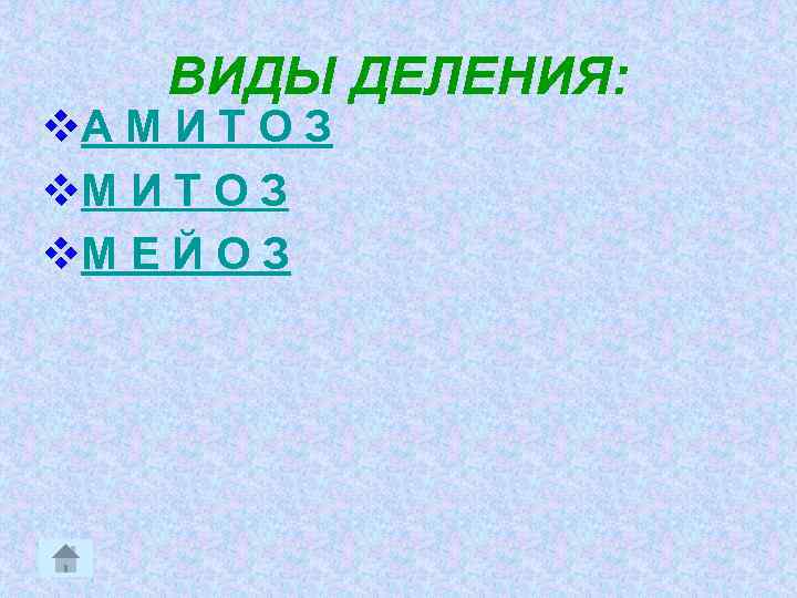 ВИДЫ ДЕЛЕНИЯ: v. А М И Т О З v. М Е Й О