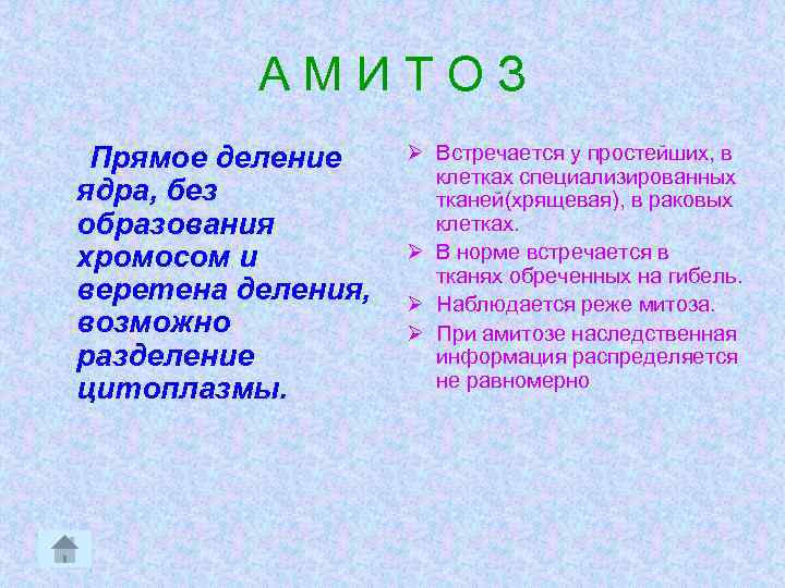 АМИТОЗ Прямое деление ядра, без образования хромосом и веретена деления, возможно разделение цитоплазмы. Ø