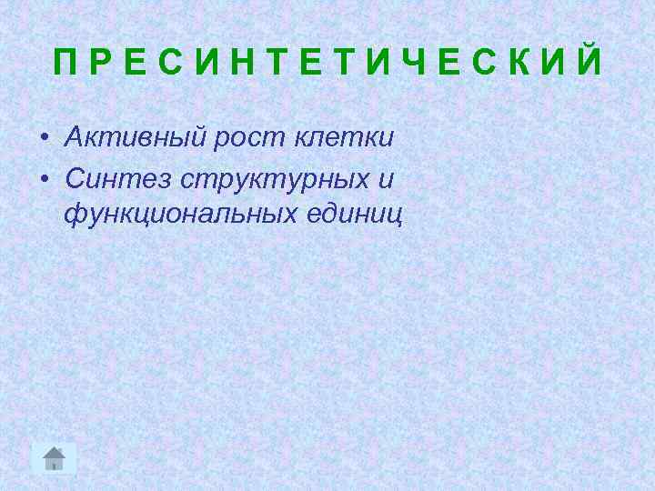 ПРЕСИНТЕТИЧЕСКИЙ • Активный рост клетки • Синтез структурных и функциональных единиц 