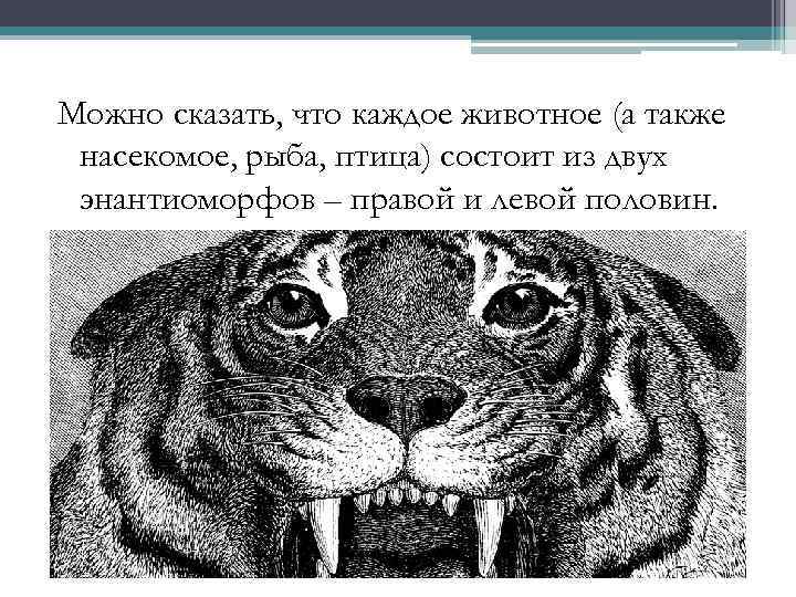 Можно сказать, что каждое животное (а также насекомое, рыба, птица) состоит из двух энантиоморфов