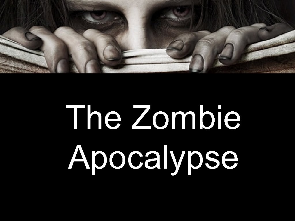 The Zombie Apocalypse 