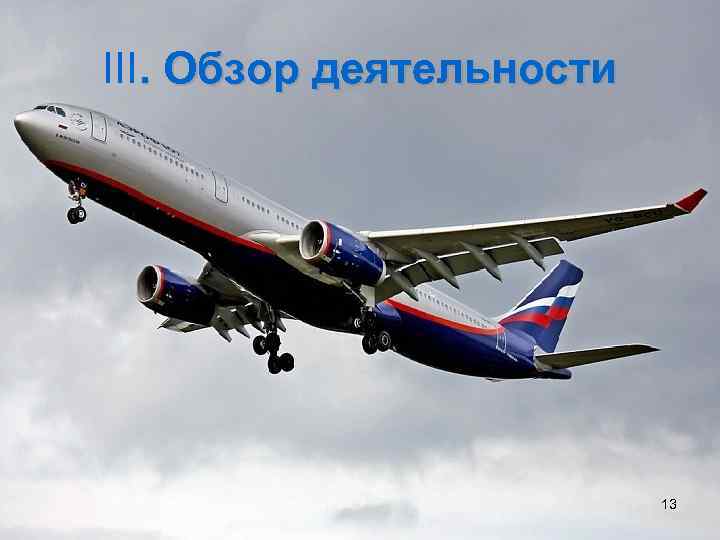 III. Обзор деятельности 13 
