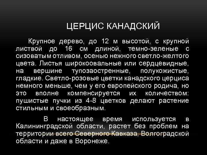 ЦЕРЦИС КАНАДСКИЙ Крупное дерево, до 12 м высотой, с крупной листвой до 16 см