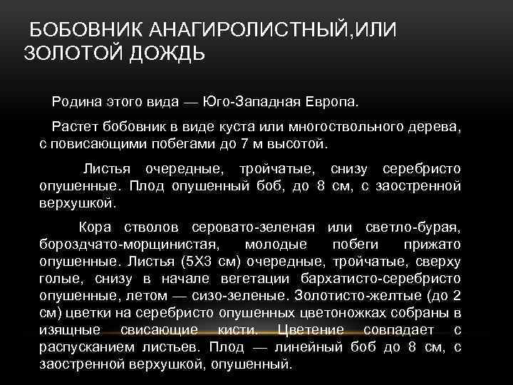 БОБОВНИК АНАГИРОЛИСТНЫЙ, ИЛИ ЗОЛОТОЙ ДОЖДЬ Родина этого вида — Юго-Западная Европа. Растет бобовник в