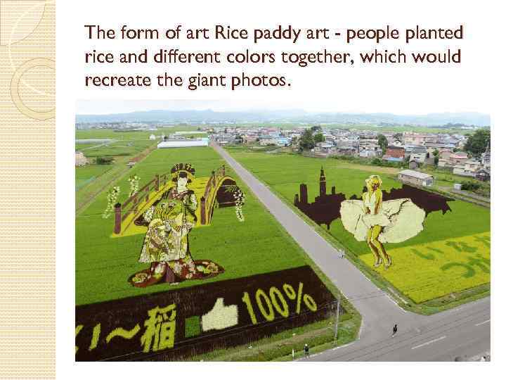 The form of art Rice paddy art - people planted rice and different colors