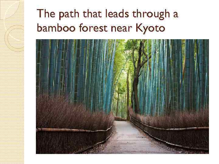 The path that leads through a bamboo forest near Kyoto 