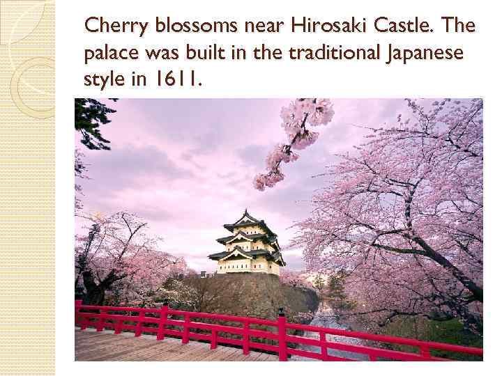 Cherry blossoms near Hirosaki Castle. The palace was built in the traditional Japanese style