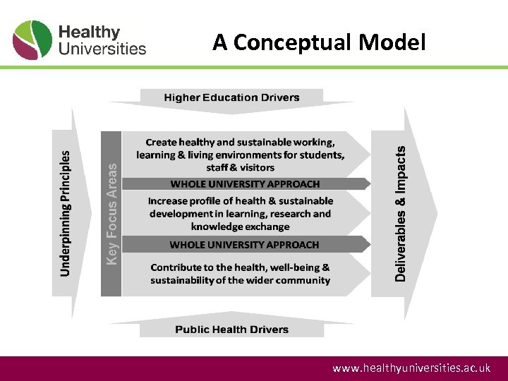 A Conceptual Model www. healthyuniversities. ac. uk 