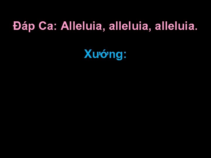 Ðáp Ca: Alleluia, alleluia. Xướng: 