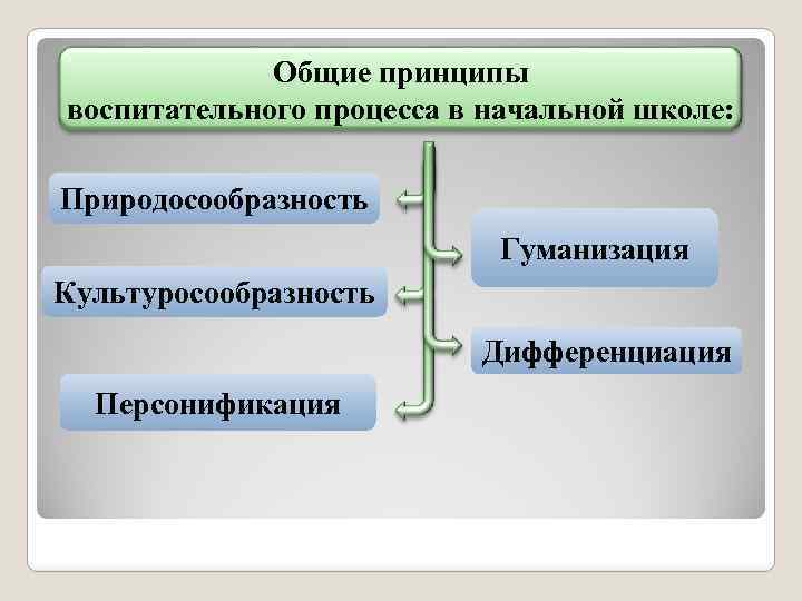 Общие принципы воспитательного процесса в начальной школе: Природосообразность Гуманизация Культуросообразность Дифференциация Персонификация 