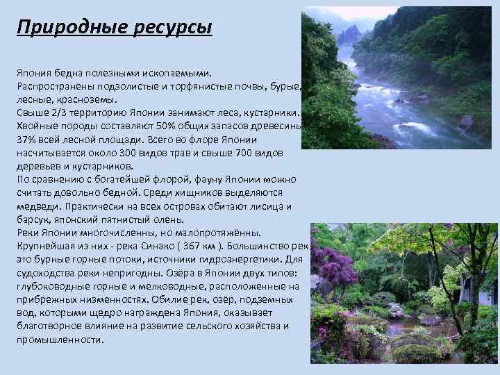 Природные ресурсы Япония бедна полезными ископаемыми. Распространены подзолистые и торфянистые почвы, бурые, лесные, красноземы.