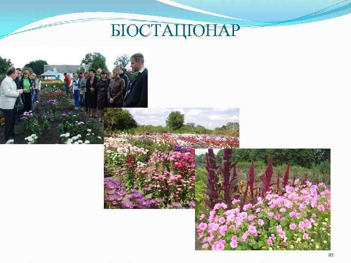 БІОСТАЦІОНАР 27 