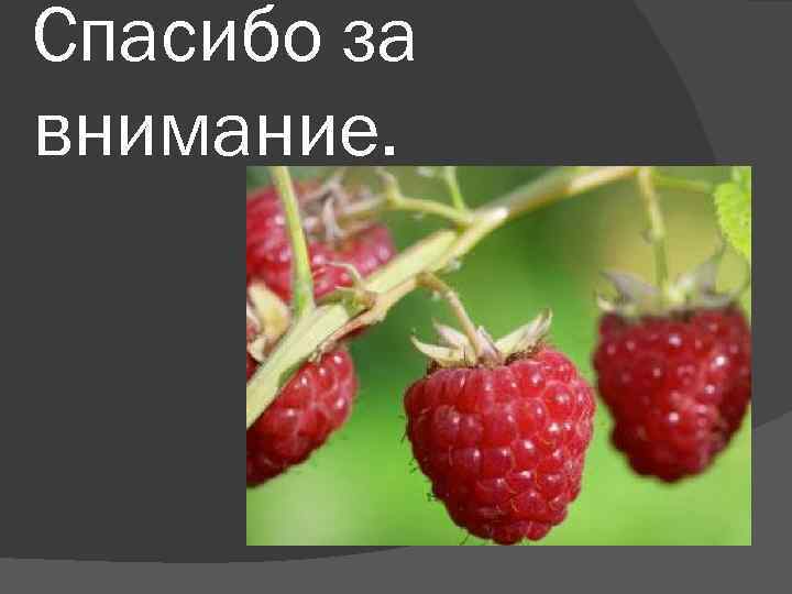 Спасибо за внимание. 