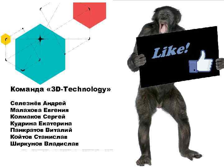 Команда « 3 D-Technology» Селезнёв Андрей Малахова Евгения Колмаков Сергей Кудрина Екатерина Панкратов Виталий