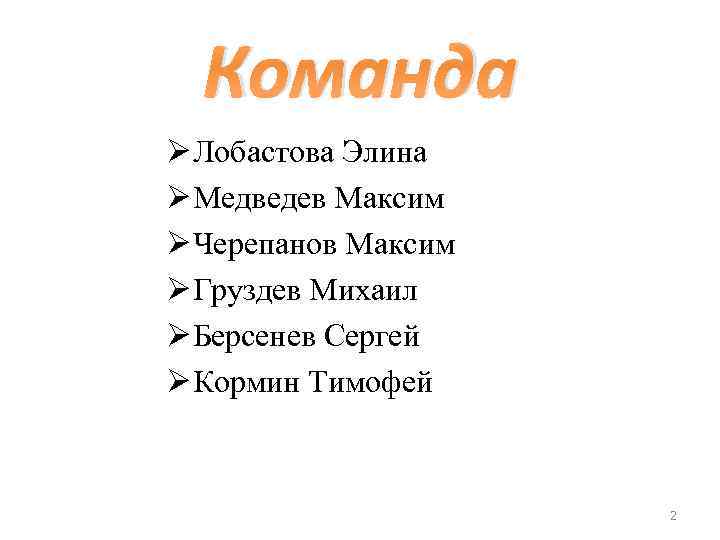 Команда Ø Лобастова Элина Ø Медведев Максим Ø Черепанов Максим Ø Груздев Михаил Ø