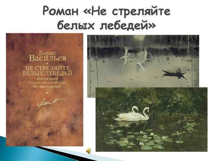 Роман «Не стреляйте белых лебедей» 