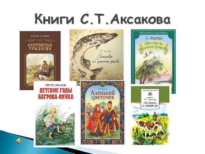 Книги С. Т. Аксакова 