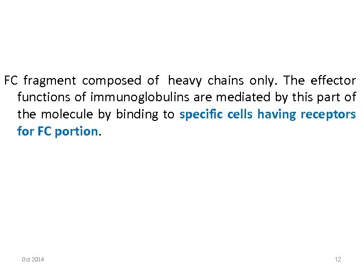 FC fragment composed of heavy chains only. The effector functions of immunoglobulins are mediated