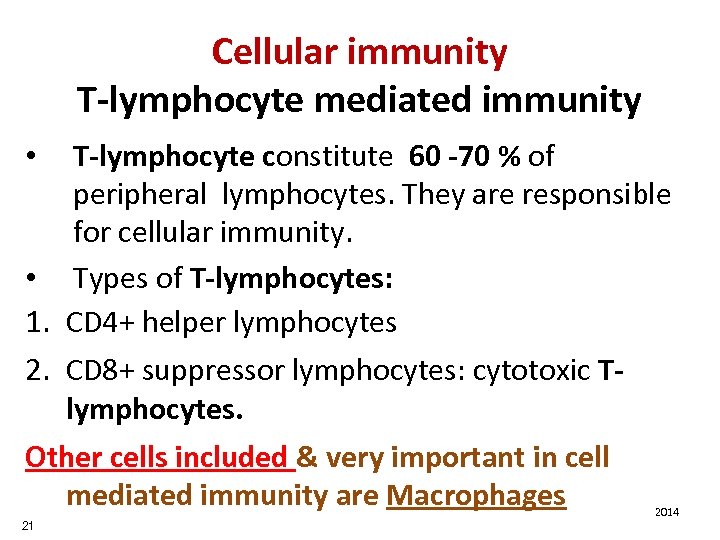 Cellular immunity T-lymphocyte mediated immunity T-lymphocyte constitute 60 -70 % of peripheral lymphocytes. They