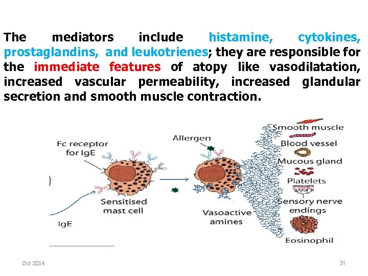 The mediators include histamine, cytokines, prostaglandins, and leukotrienes; they are responsible for the immediate