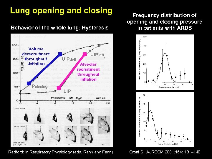 Lung opening and closing Behavior of the whole lung: Hysteresis Volume derecruitment throughout deflation