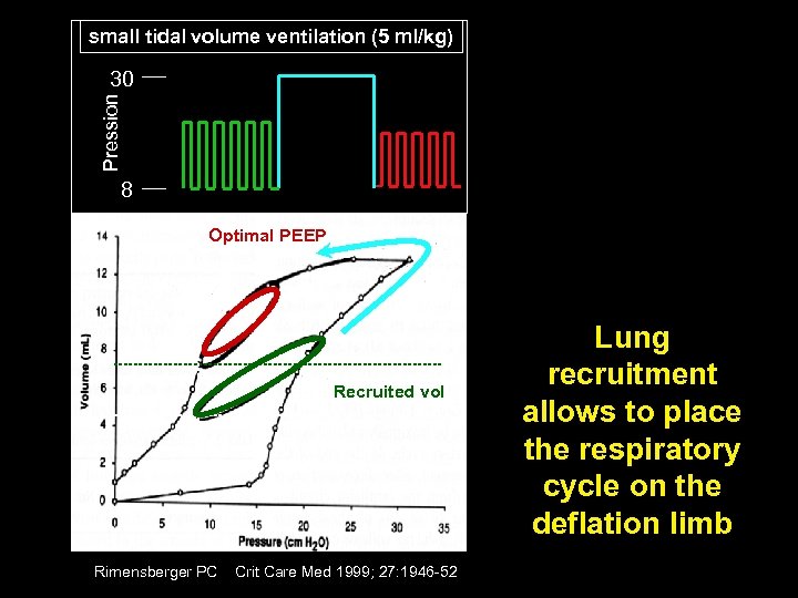 small tidal volume ventilation (5 ml/kg) Pression 30 8 Optimal PEEP Recruited vol Rimensberger