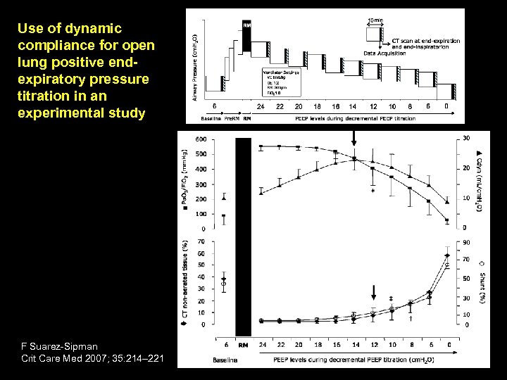 Use of dynamic compliance for open lung positive endexpiratory pressure titration in an experimental