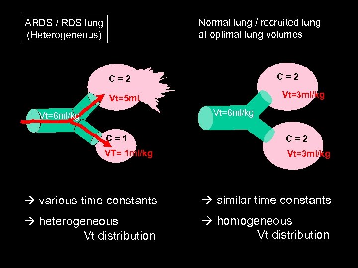 Normal lung / recruited lung at optimal lung volumes ARDS / RDS lung (Heterogeneous)