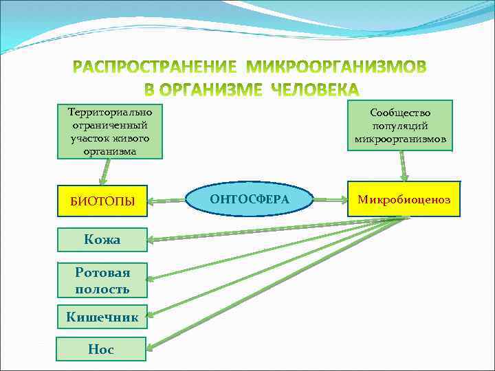 Распространение проекта это