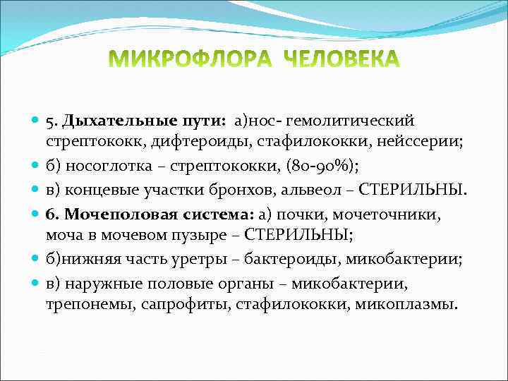  5. Дыхательные пути: а)нос- гемолитический стрептококк, дифтероиды, стафилококки, нейссерии; б) носоглотка – стрептококки,