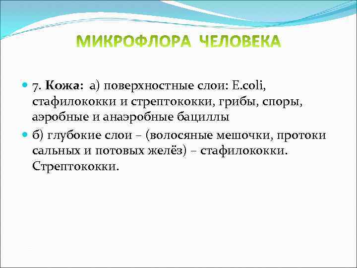  7. Кожа: а) поверхностные слои: E. coli, стафилококки и стрептококки, грибы, споры, аэробные