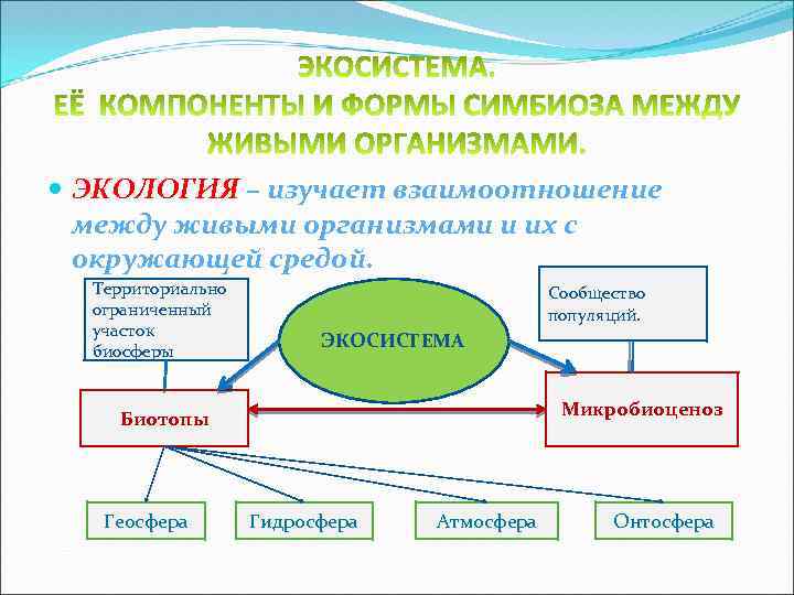 Взаимосвязь организмов и окружающей среды 9 класс проект