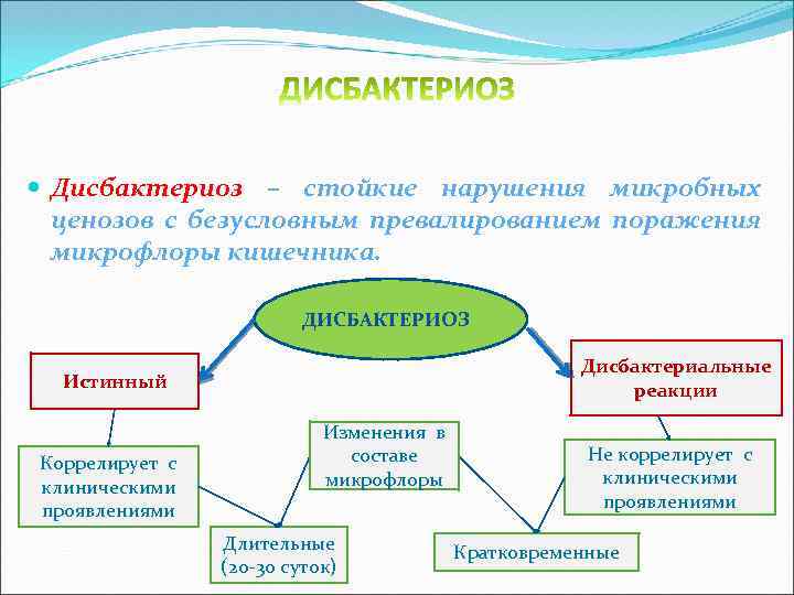 Экология микроорганизмов презентация