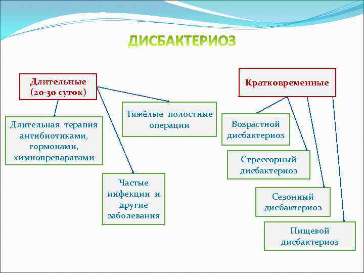 Экология микроорганизмов презентация