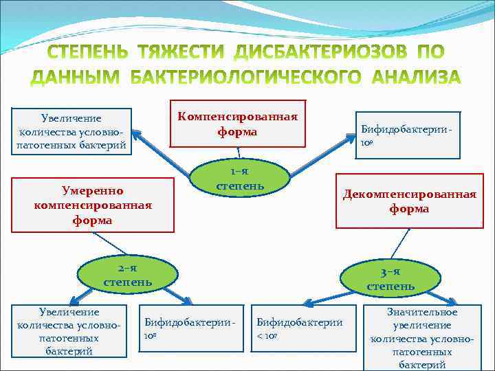 Экология микроорганизмов презентация