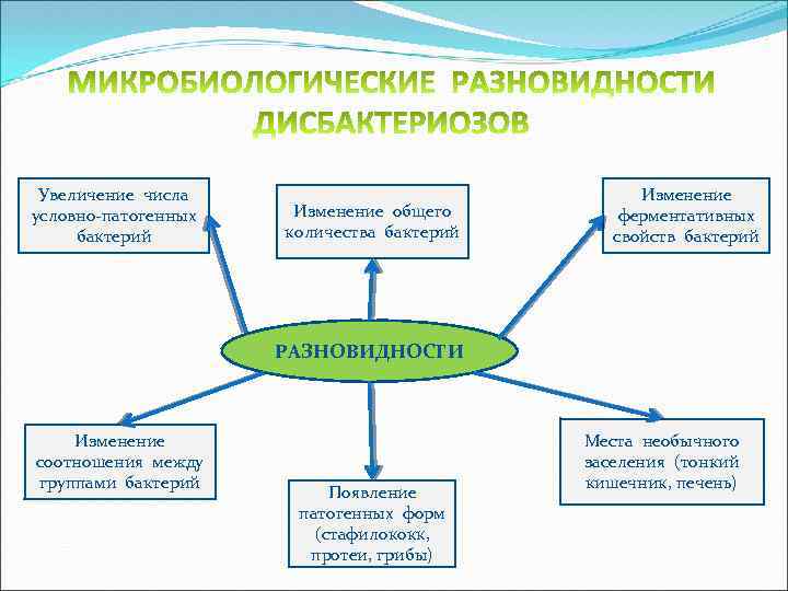 Экология микроорганизмов презентация