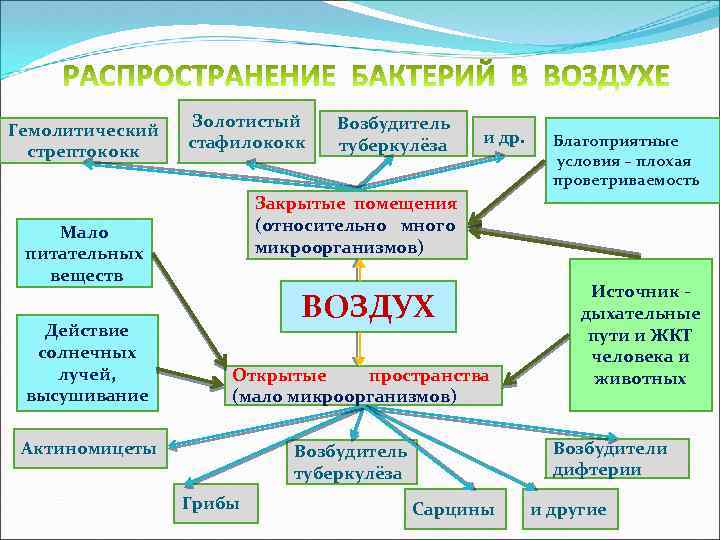 Уровни экологических нарушений. Распространение микроорганизмов в окружающей среде схема. Распространение микроорганизмов в окружающей среде. Вертикальное распределение микроорганизмов в атмосфере.