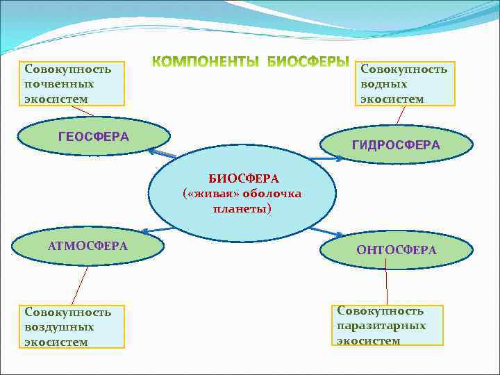 Экология микроорганизмов презентация