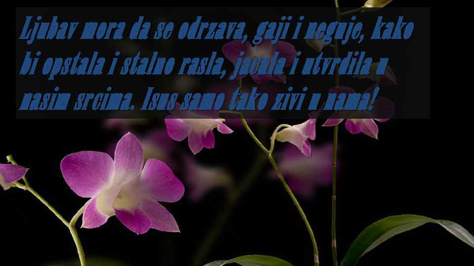 Ljubav mora da se odrzava, gaji i neguje, kako bi opstala i stalno rasla,