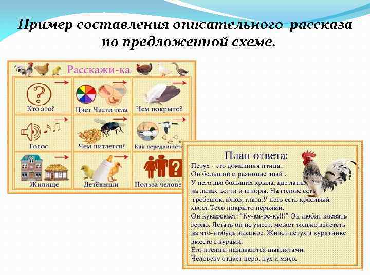 Пример составления описательного рассказа по предложенной схеме. 