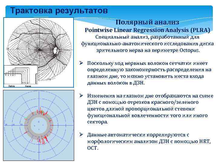 Трактовка результатов Полярный анализ Pointwise Linear Regression Analysis (PLRA) Специальный анализ, разработанный для функционально-анатомического