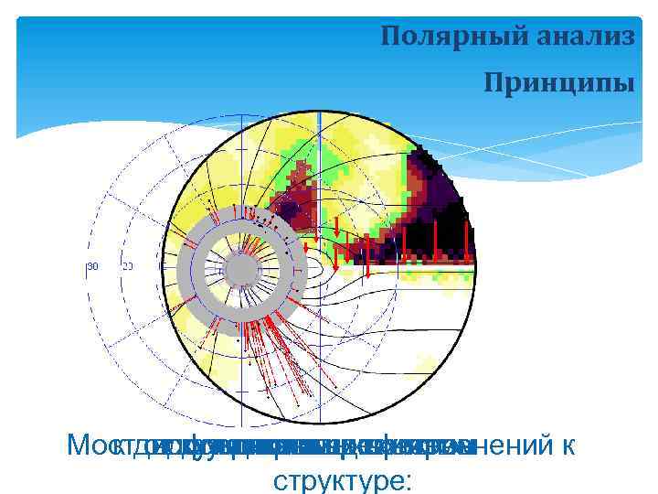 Полярный анализ Принципы Мостдиску отнервных волокон к от локальным дефектам вдоль поля зрения к