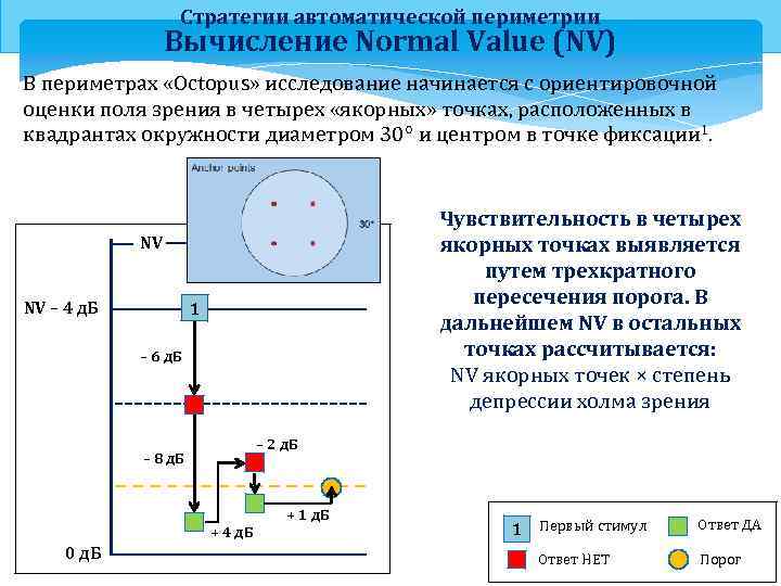 Стратегии автоматической периметрии Вычисление Normal Value (NV) В периметрах «Octopus» исследование начинается с ориентировочной