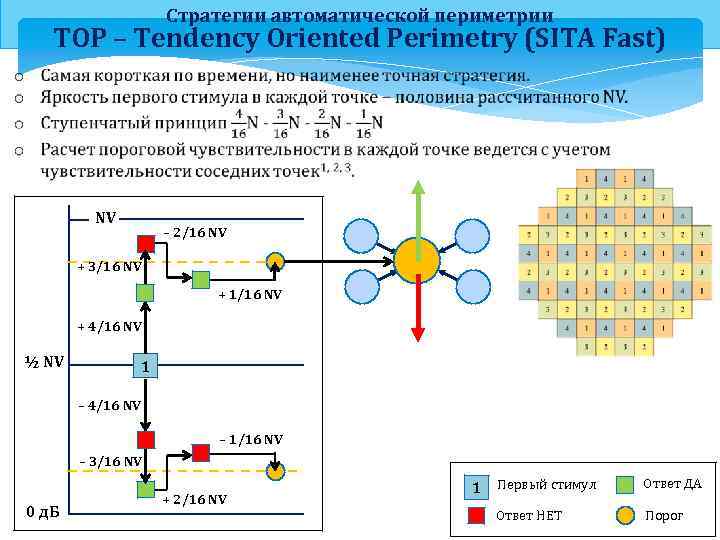 Стратегии автоматической периметрии TOP – Tendency Oriented Perimetry (SITA Fast) NV – 2/16 NV