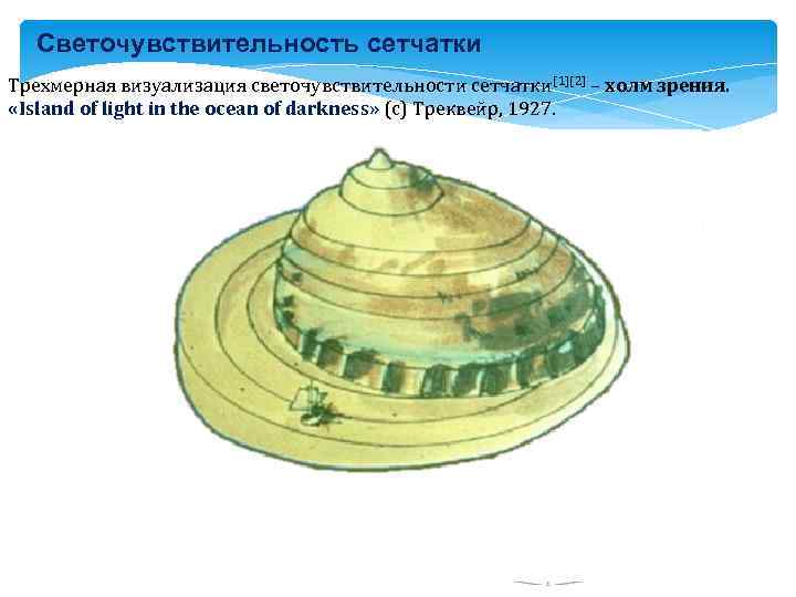 Светочувствительность сетчатки Трехмерная визуализация светочувствительности сетчатки [1][2] – холм зрения. «Island of light in